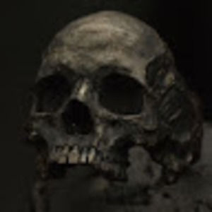 Meet your Posher, Void